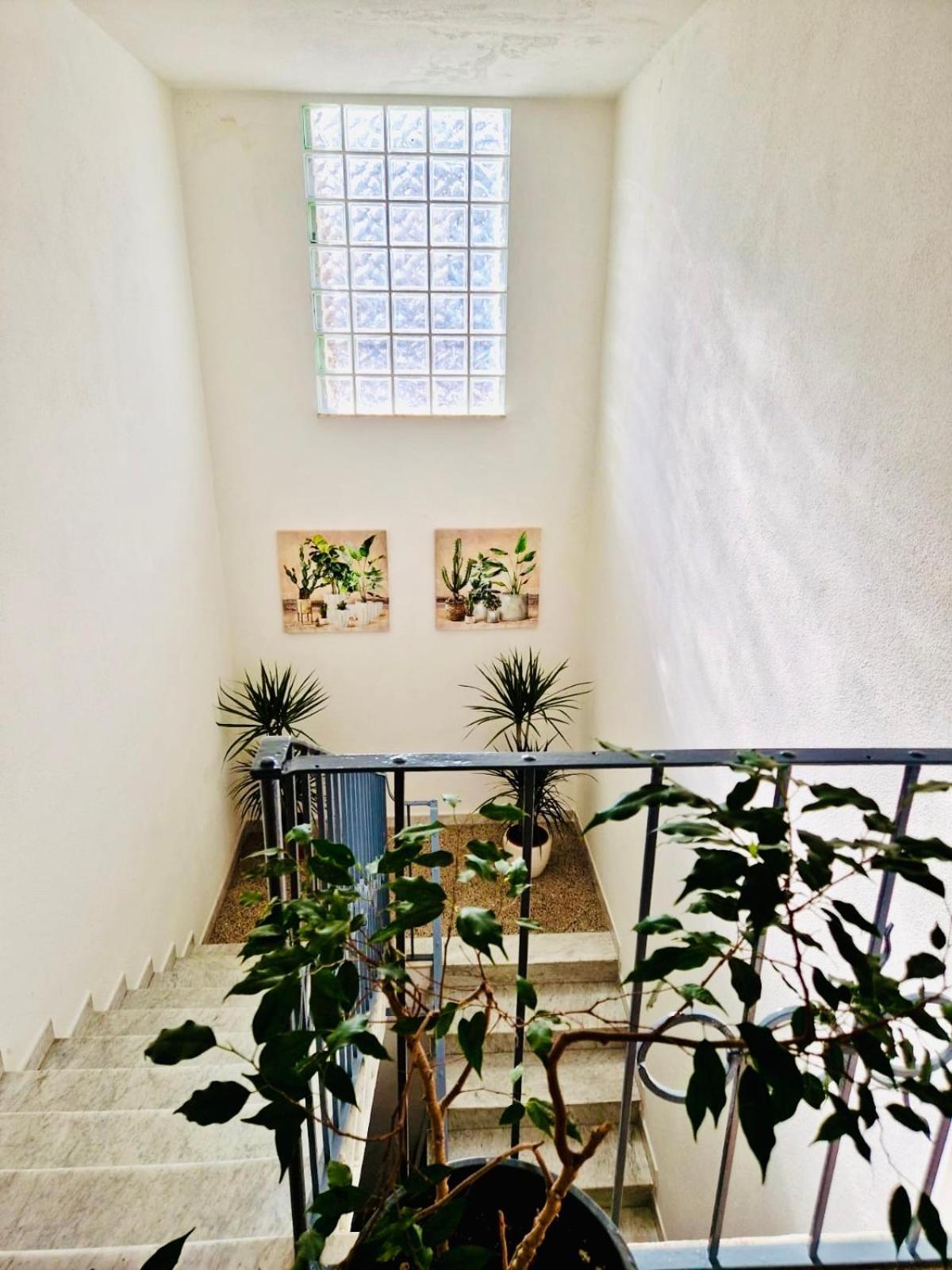 Apartment Vacanze In Centro Olbia
